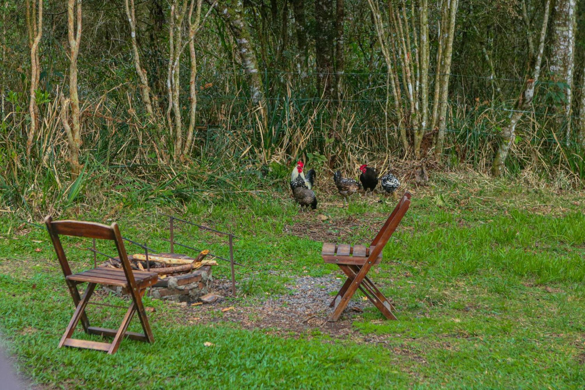 Cabana na Floresta Rincão do Fortaleza Cambará Exterior foto
